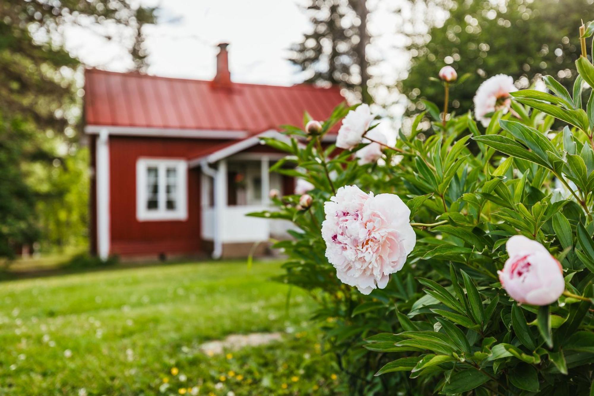 Valkeisen Loma Villa Ahtari Ngoại thất bức ảnh